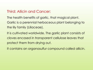 Third: Allicin and Cancer:
The health benefits of garlic, that magical plant.
Garlic is a perennial herbaceous plant belonging to
the lily family (Liliaceae).
It is cultivated worldwide. The garlic plant consists of
cloves encased in transparent cellulose leaves that
protect them from drying out.
It contains an organosulfur compound called allicin.
 