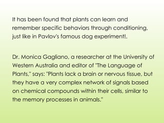 It has been found that plants can learn and
remember specific behaviors through conditioning,
just like in Pavlov's famous dog experiment!.
Dr. Monica Gagliano, a researcher at the University of
Western Australia and editor of "The Language of
Plants," says: "Plants lack a brain or nervous tissue, but
they have a very complex network of signals based
on chemical compounds within their cells, similar to
the memory processes in animals."
 