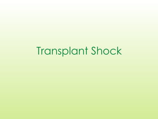 Transplant Shock
 