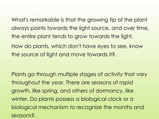 What's remarkable is that the growing tip of the plant
always points towards the light source, and over time,
the entire plant tends to grow towards the light.
How do plants, which don't have eyes to see, know
the source of light and move towards it?.
Plants go through multiple stages of activity that vary
throughout the year. There are seasons of rapid
growth, like spring, and others of dormancy, like
winter. Do plants possess a biological clock or a
biological mechanism to recognize the months and
seasons?.
 