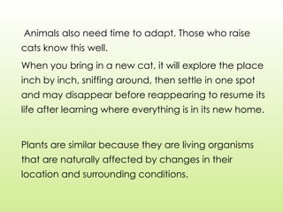 Animals also need time to adapt. Those who raise
cats know this well.
When you bring in a new cat, it will explore the place
inch by inch, sniffing around, then settle in one spot
and may disappear before reappearing to resume its
life after learning where everything is in its new home.
Plants are similar because they are living organisms
that are naturally affected by changes in their
location and surrounding conditions.
 