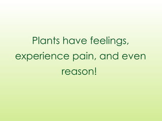 Plants have feelings,
experience pain, and even
reason!
 