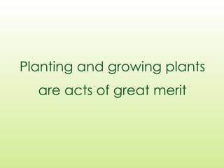 Planting and growing plants
are acts of great merit
 