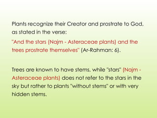 Plants recognize their Creator and prostrate to God,
as stated in the verse:
"And the stars (Najm - Asteraceae plants) and the
trees prostrate themselves" (Ar-Rahman: 6).
Trees are known to have stems, while "stars" (Najm -
Asteraceae plants) does not refer to the stars in the
sky but rather to plants "without stems" or with very
hidden stems.
 