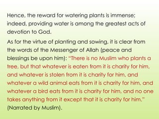 Hence, the reward for watering plants is immense;
indeed, providing water is among the greatest acts of
devotion to God.
As for the virtue of planting and sowing, it is clear from
the words of the Messenger of Allah (peace and
blessings be upon him): “There is no Muslim who plants a
tree, but that whatever is eaten from it is charity for him,
and whatever is stolen from it is charity for him, and
whatever a wild animal eats from it is charity for him, and
whatever a bird eats from it is charity for him, and no one
takes anything from it except that it is charity for him.”
(Narrated by Muslim).
 