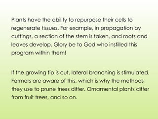 Plants have the ability to repurpose their cells to
regenerate tissues. For example, in propagation by
cuttings, a section of the stem is taken, and roots and
leaves develop. Glory be to God who instilled this
program within them!
If the growing tip is cut, lateral branching is stimulated.
Farmers are aware of this, which is why the methods
they use to prune trees differ. Ornamental plants differ
from fruit trees, and so on.
 