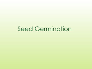 Seed Germination
 