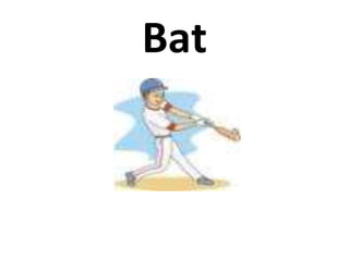 Bat
 