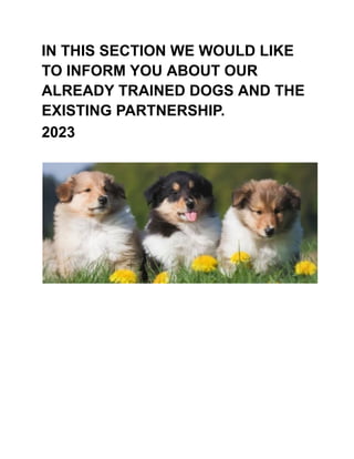 IN THIS SECTION WE WOULD LIKE
TO INFORM YOU ABOUT OUR
ALREADY TRAINED DOGS AND THE
EXISTING PARTNERSHIP.
2023
 