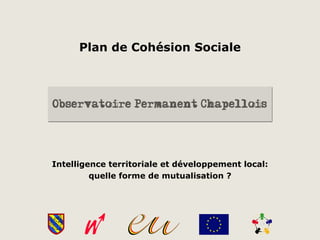 Plan de Cohésion Sociale




Intelligence territoriale et développement local:
         quelle forme de mutualisation ?
 