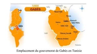 Emplacement du gouvernorat de Gabès en Tunisie
 