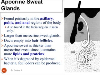 INTIGUMENTARY SYSTEM.ppt