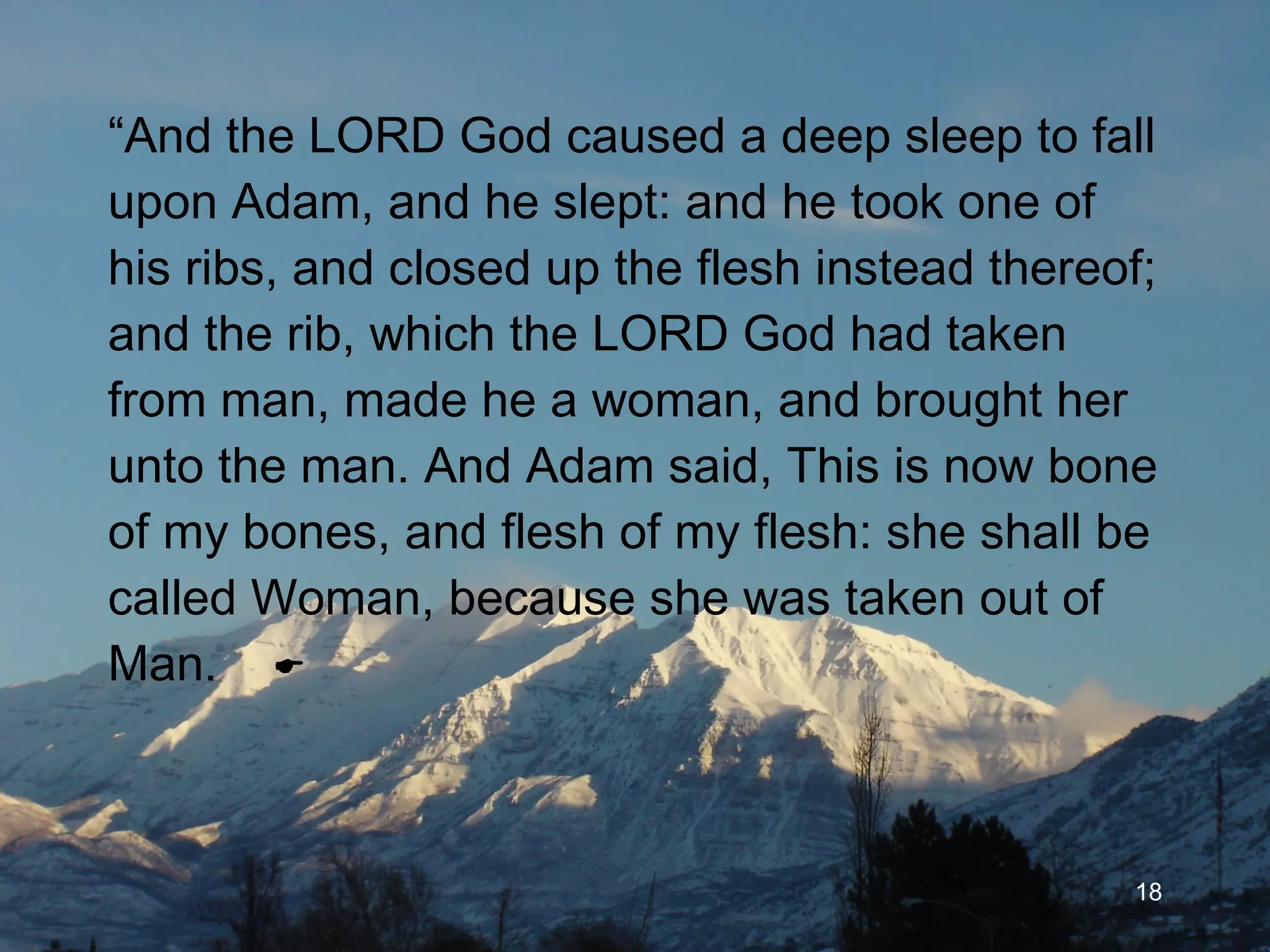 “ And the LORD God caused a deep sleep to fall upon Adam, and he slept: and he took one of his ribs, and closed up the flesh instead thereof; and the rib, which the LORD God had taken from man, made he a woman, and brought her unto the man. And Adam said, This is now bone of my bones, and flesh of my flesh: she shall be called Woman, because she was taken out of Man.   