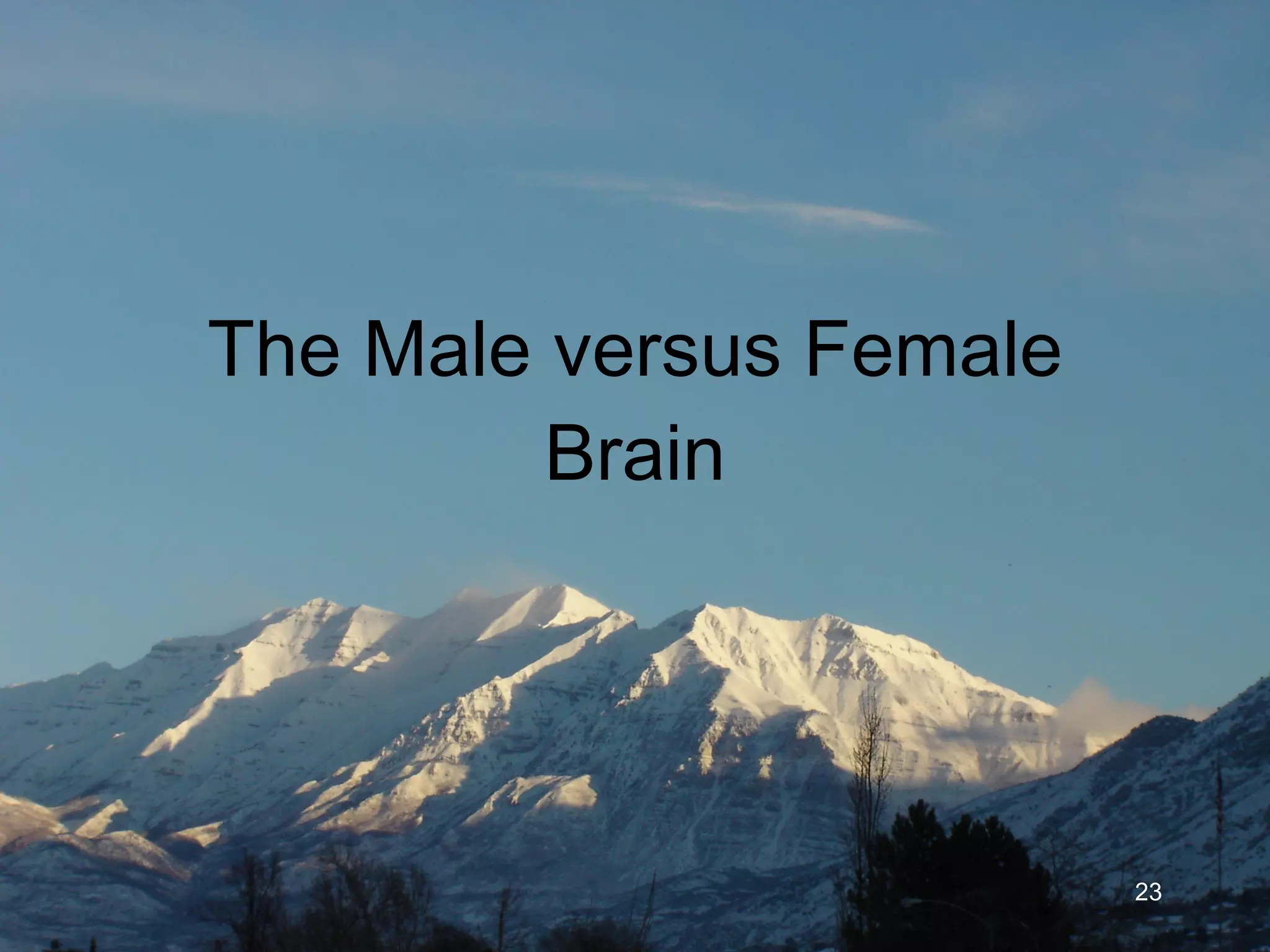 The Male versus Female Brain 