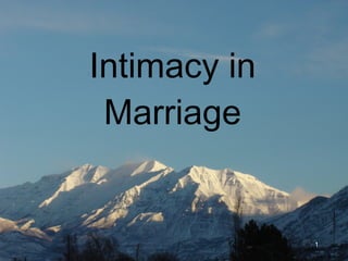 Intimacy in Marriage 