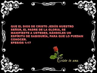 QUE EL DIOS DE CRISTO JESÚS NUESTRO SEÑOR, EL PADRE DE LA GLORIA, SE MANIFIESTE A USTEDES, DÁNDOLES UN ESPÍRITU DE SABIDURÍA, PARA QUE LO PUEDAN CONOCER.EFESIOS 1:17 