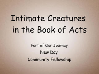 Intimate Creatures  in the Book of Acts Part of Our Journey New Day  Community Fellowship 