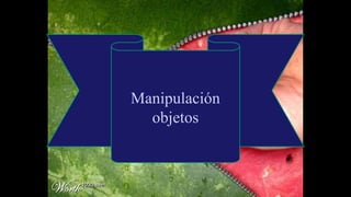 Manipulación
objetos