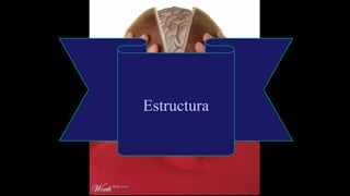 Estructura