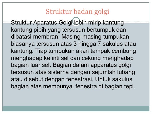 Inti Sel Badan Golgi Lisosom