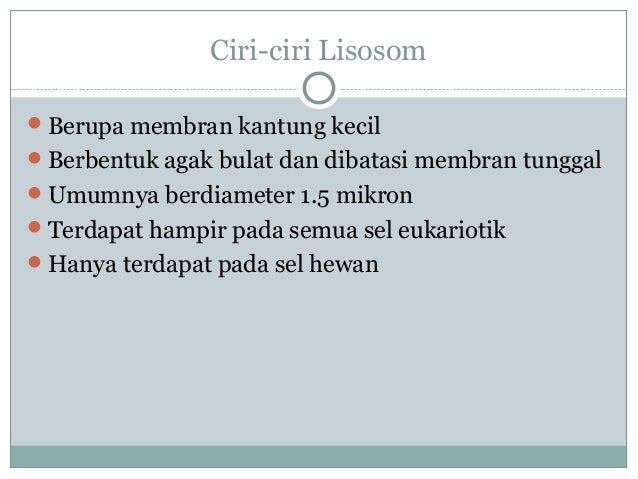 Inti Sel Badan Golgi Lisosom