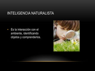 INTELIGENCIA NATURALISTA
• Es la interacción con el
ambiente, identificando
objetos y comprenderlos.
 
