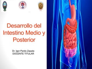 Desarrollo del
Intestino Medio y
Posterior
Dr. Igor Pardo Zapata
DOCENTE TITULAR
 