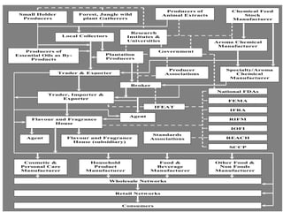 Producers of          Chemical Feed
 Small Holder           Forest, Jungle wild              Animal Extracts           Stock
  Producers              plant Gatherers                                        Manufacturer



                                           Research
                  Local Collectors        Institutes &
                                          Universities                     Aroma Chemical
                                                                            Manufacturer
   Producers of                                       Government
Essential Oils as By-            Plantation
     Products                    Producers


                                                          Producer            Specialty/Aroma
                Trader & Exporter                        Associations            Chemical
                                                                               Manufacturer

                                           Broker
                                                                           National FDAs
            Trader, Importer &
                Exporter
                                                                               FEMA
                                                     IFEAT
                                                                               IFRA
                                           Agent
      Flavour and Fragrance                                                    RIFM
              House
                                                                               IOFI
                                                    Standards
    Agent          Flavour and Fragrance           Associations               REACH
                     House (subsidiary)
                                                                               SCCP



   Cosmetic &              Household                 Food &                Other Food &
  Personal Care             Product                 Beverage                Non Foods
  Manufacturer            Manufacturer             Manufacturer            Manufacturer


                                     Wholesale Networks


                                      Retail Networks


                                         Consumers
 