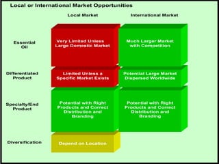 Local or International Market Opportunities

                      Local Market            International Market




   Essential      Very Limited Unless       Much Larger Market
      Oil         Large Domestic Market      with Competition




Differentiated      Limited Unless a       Potential Large Market
   Product        Specific Market Exists   Dispersed Worldwide




Specialty/End      Potential with Right     Potential with Right
  Product         Products and Correct     Products and Correct
                    Distribution and         Distribution and
                        Branding                 Branding




Diversification    Depend on Location
 