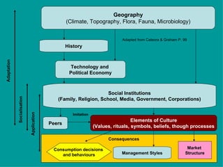 Geography
                                                   (Climate, Topography, Flora, Fauna, Microbiology)


                                                                              Adapted from Cateora & Graham P. 99
                                                   History
Adaptation




                                                     Technology and
                                                    Political Economy



                                                                    Social Institutions
             Socialisation




                                              (Family, Religion, School, Media, Government, Corporations)
                             Application




                                                      Imitation
                                                                                    Elements of Culture
                                           Peers
                                                                  (Values, rituals, symbols, beliefs, though processes

                                                                        Consequences

                                            Consumption decisions                                                Market
                                               and behaviours                 Management Styles                 Structure
 