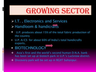 Other important citiesAligarh • Azamgarh • Bahraich • Ballia • Banda • Bijnor • Bulandshahr • Etawah • Faizabad • Farrukhabad • Fatehgarh • Firozabad • Ghazipur• Gola • Gonda • . Hameerpur • Kannauj • Khurja • Kulpahar • Kushinagar • Lalitpur • Mainpuri • Mahoba • Mirzapur • Moradabad • Muzaffarnagar • Noida • Orai • Pilibhit • Raebareli • Rampur • Saharanpur • Shahjahanpur • Sultanpur. Deoria