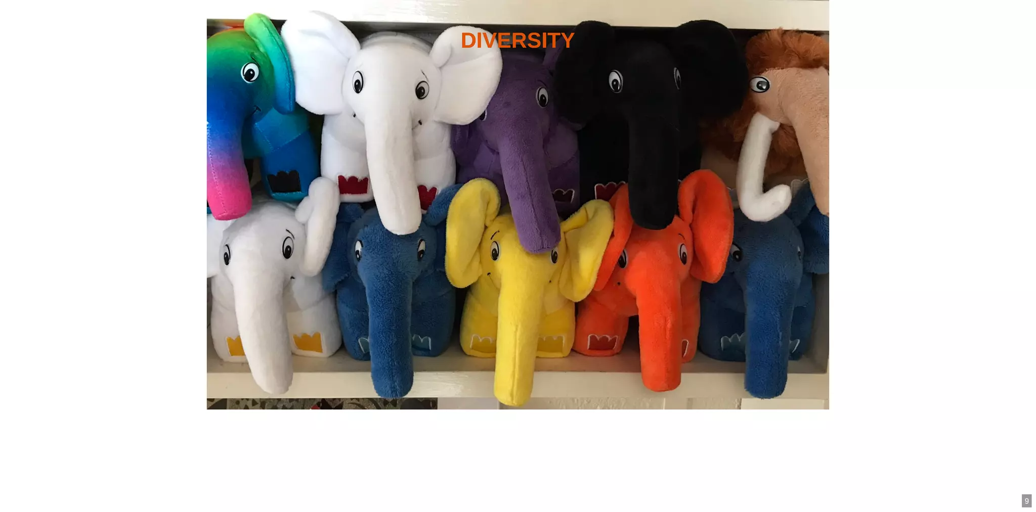 DIVERSITYDIVERSITY
9