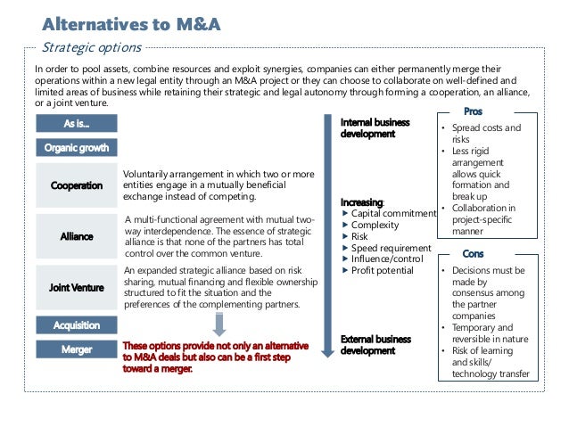 Joint ventures and strategic alliances alternatives to an ipo