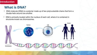 INTODUCTION TO DNA(University of Rwanda).pptx