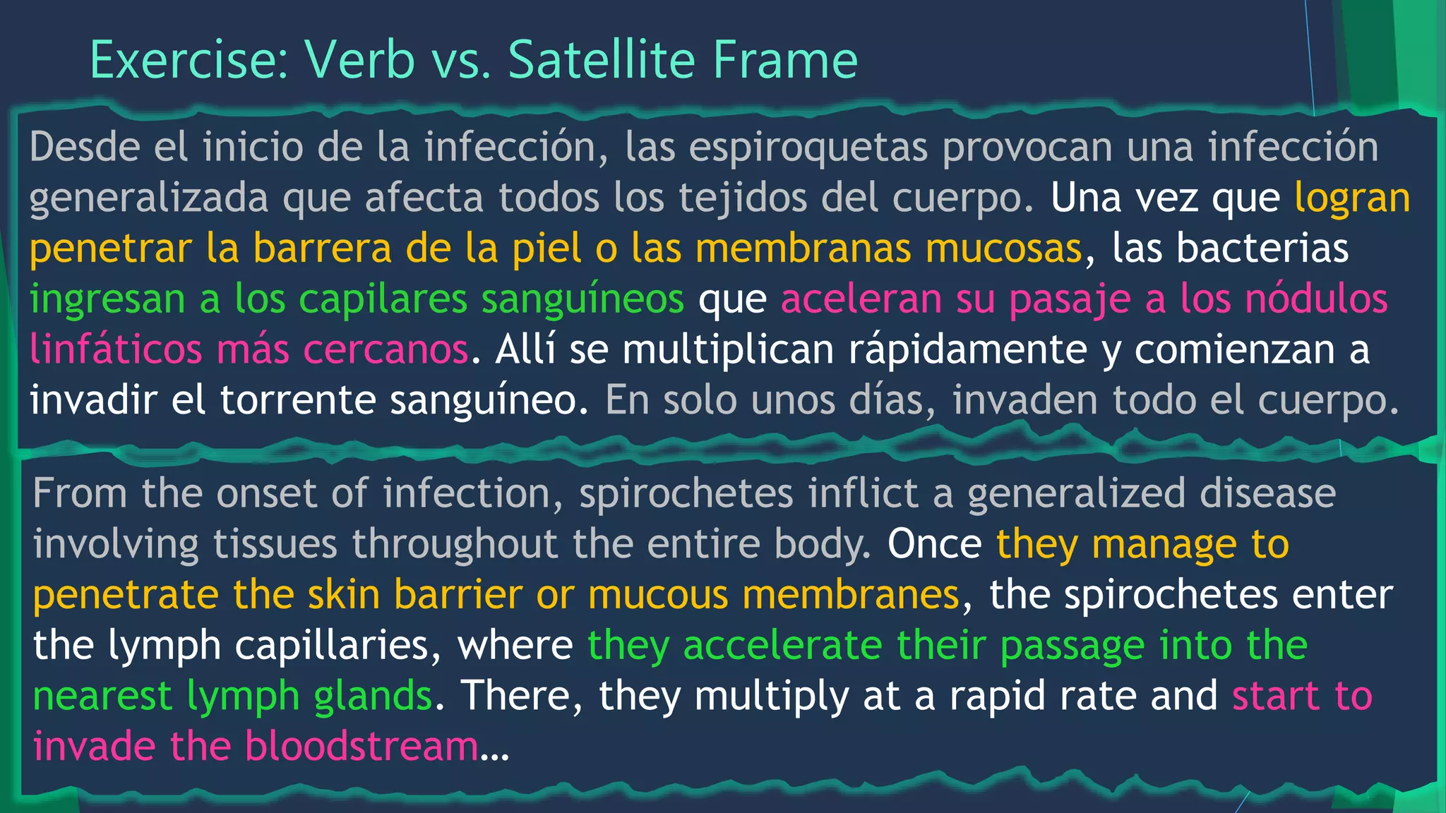 Exercise: Verb vs. Satellite Frame
Desde el inicio de la infección, las espiroquetas provocan una infección
generalizada que afecta todos los tejidos del cuerpo. Una vez que logran
penetrar la barrera de la piel o las membranas mucosas, las bacterias
ingresan a los capilares sanguíneos que aceleran su pasaje a los nódulos
linfáticos más cercanos. Allí se multiplican rápidamente y comienzan a
invadir el torrente sanguíneo. En solo unos días, invaden todo el cuerpo.
From the onset of infection, spirochetes inflict a generalized disease
involving tissues throughout the entire body. Once they manage to
penetrate the skin barrier or mucous membranes, the spirochetes enter
the lymph capillaries, where they accelerate their passage into the
nearest lymph glands. There, they multiply at a rapid rate and start to
invade the bloodstream…
 