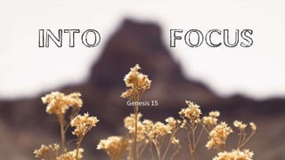 Into Focus
Genesis 15
 