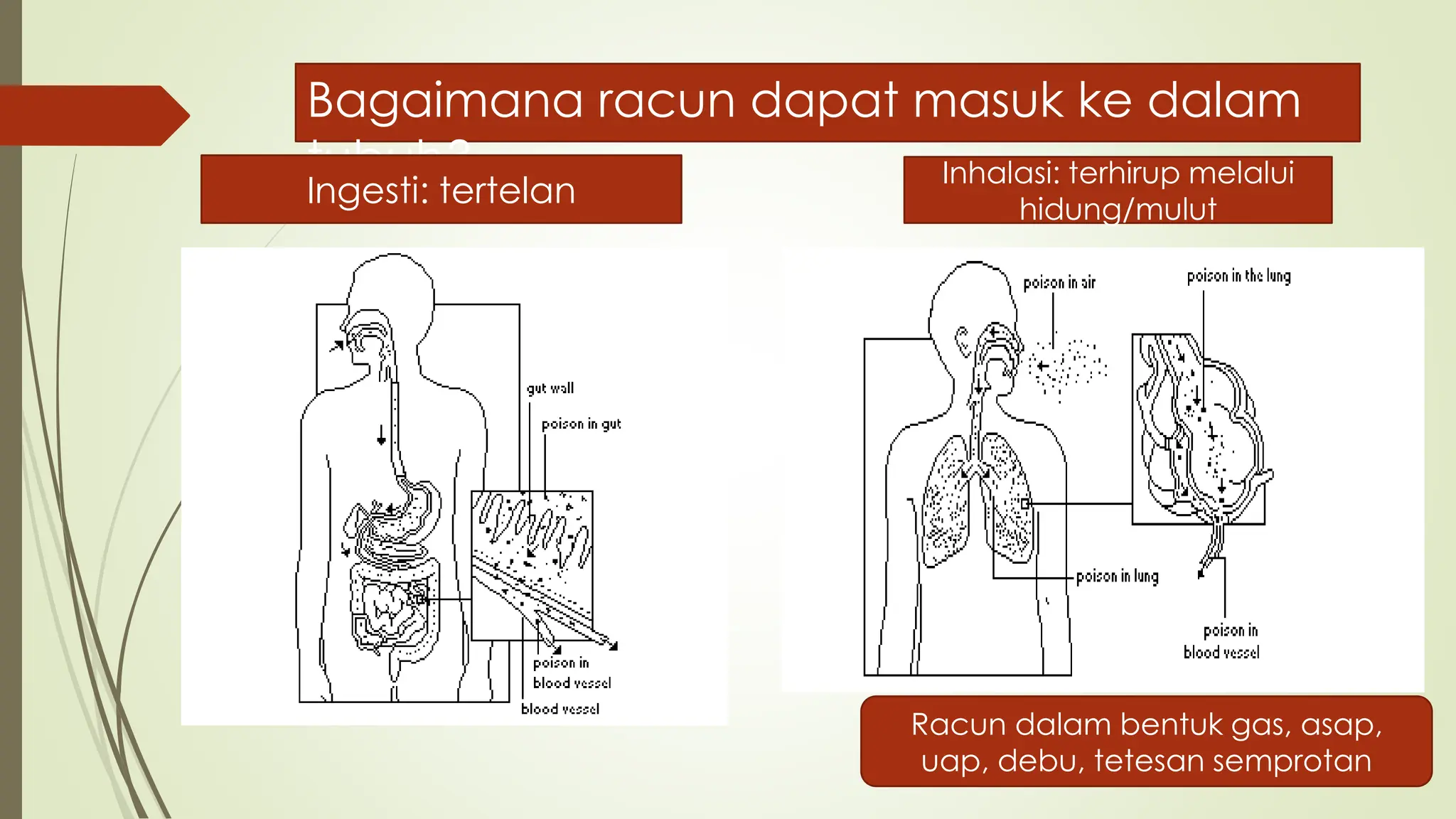 Intoksikasi, definisi hingga penatalaksanaanppt.pdf