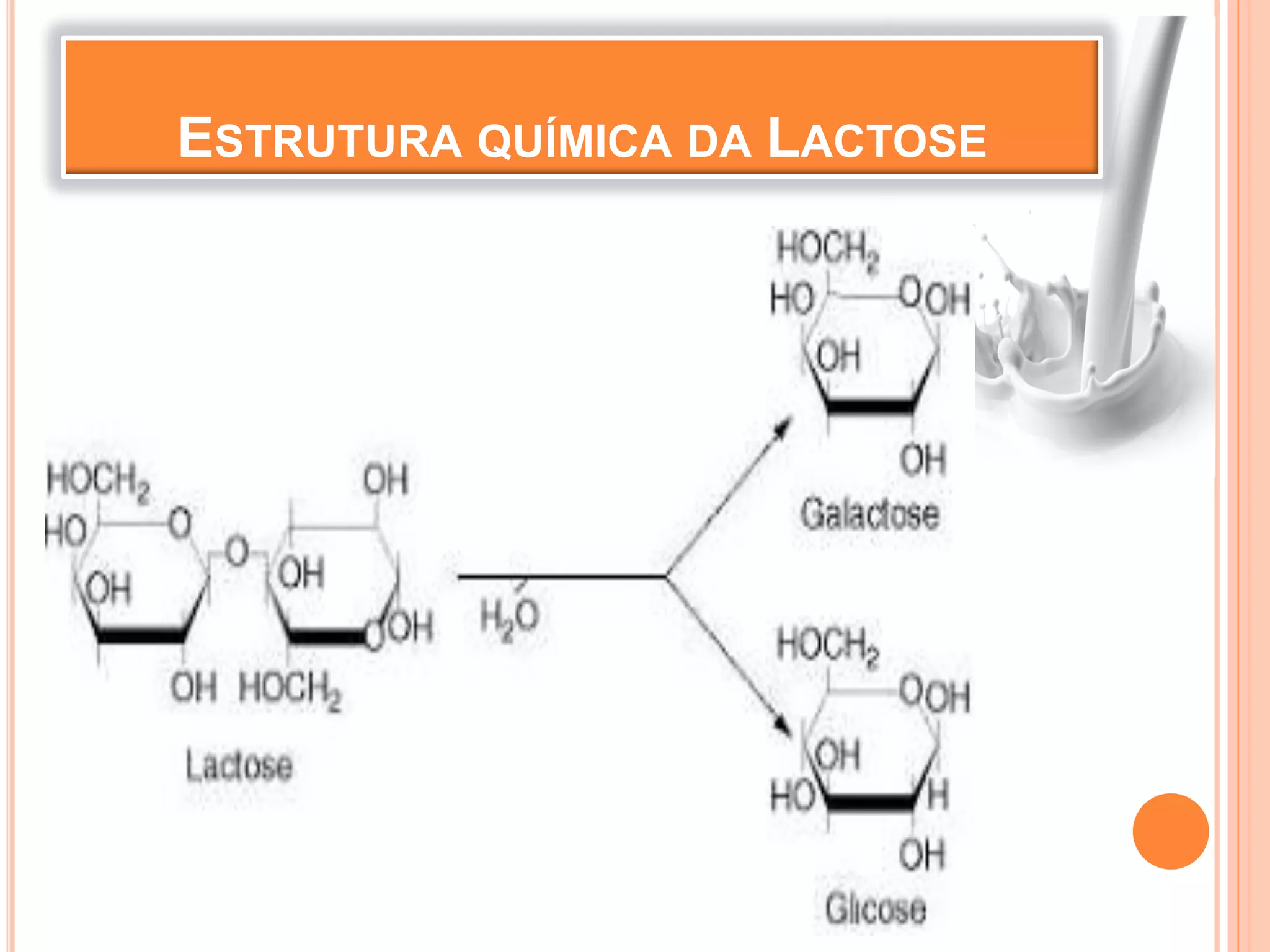 ESTRUTURA QUÍMICA DA LACTOSE
 