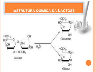 ESTRUTURA QUÍMICA DA LACTOSE
 