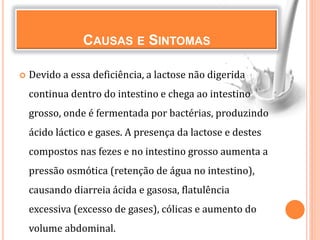 CAUSAS E SINTOMAS
 Devido a essa deficiência, a lactose não digerida
continua dentro do intestino e chega ao intestino
grosso, onde é fermentada por bactérias, produzindo
ácido láctico e gases. A presença da lactose e destes
compostos nas fezes e no intestino grosso aumenta a
pressão osmótica (retenção de água no intestino),
causando diarreia ácida e gasosa, flatulência
excessiva (excesso de gases), cólicas e aumento do
volume abdominal.
 