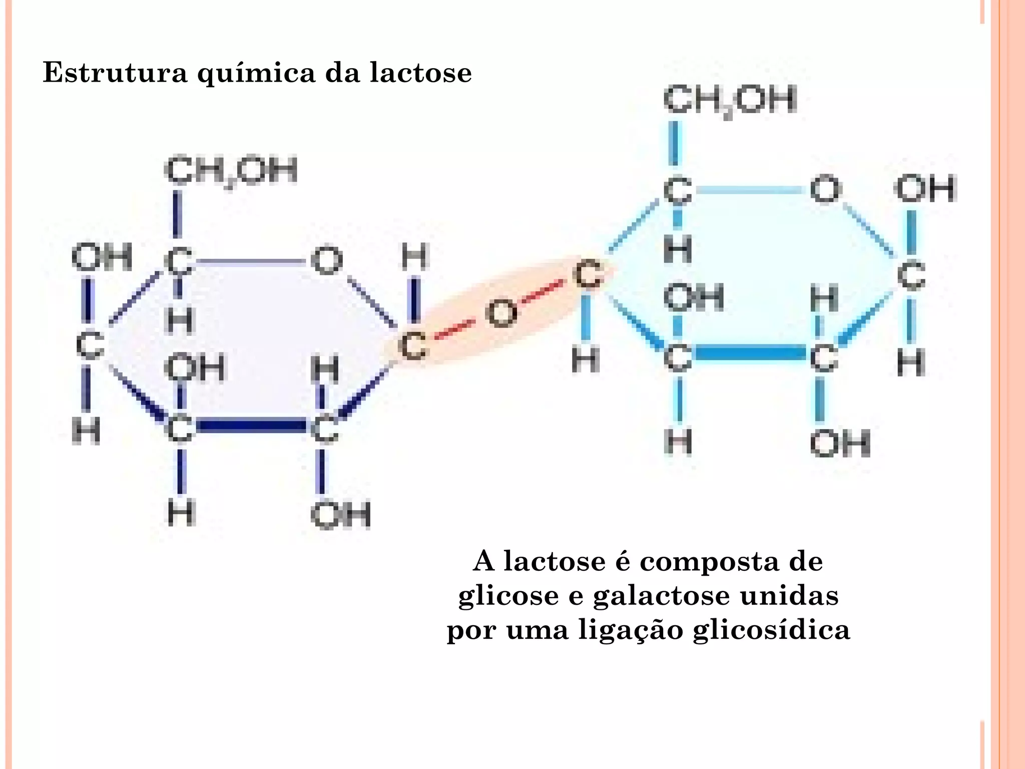 Estrutura química da lactose




                            A lactose é composta de
                           glicose e galactose unidas
                          por uma ligação glicosídica
 