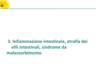 3. Infiammazione intestinale, atrofia dei
  villi intestinali, sindrome da
malassorbimento
 