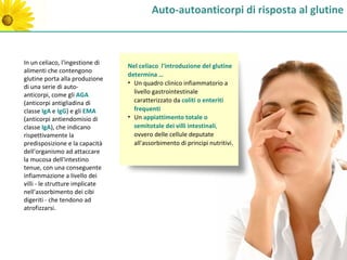 Auto-autoanticorpi di risposta al glutine



In un celiaco, l'ingestione di   Nel celiaco l'introduzione del glutine
alimenti che contengono
                                 determina …
glutine porta alla produzione
                                 • Un quadro clinico infiammatorio a
di una serie di auto-
anticorpi, come gli AGA            livello gastrointestinale
(anticorpi antigliadina di         caratterizzato da coliti o enteriti
classe IgA e IgG) e gli EMA        frequenti
(anticorpi antiendomisio di      • Un appiattimento totale o
classe IgA), che indicano          semitotale dei villi intestinali,
rispettivamente la                 ovvero delle cellule deputate
predisposizione e la capacità      all'assorbimento di principi nutritivi.
dell'organismo ad attaccare
la mucosa dell'intestino
tenue, con una conseguente
infiammazione a livello dei
villi - le strutture implicate
nell'assorbimento dei cibi
digeriti - che tendono ad
atrofizzarsi.
 