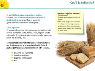 Cos’è la celiachia?


                                                          Quali sono i fattori che scatenano
E’ un’intolleranza permanente al glutine.                   l'intolleranza?
Ovvero, una malattia infiammatoria cronica                • Il fattore ambientale principale è il
                                                            glutine.
dell’intestino che si verifica in soggetti
                                                          • Altri eventi che possono favorirne
geneticamente sensibili e predisposti.
                                                            lo sviluppo sono: una gravidanza,
                                                            un intervento chirurgico, un parto,
Cos'è il glutine?                                           un’infezione virale o altre occasioni
E’ un complesso proteico contenuto in molti cereali:        di stress acuto.
avena, frumento, farro, kamut, orzo, segale, spelta
e triticale. Di conseguenza è presente nella pasta, nel
pane, nei biscotti, ecc.

Le responsabili dell’effetto tossico infiammatorio
per il celiaco sono le prolamine di cui è fatto il
glutine (o frazioni proteiche simili in altri cereali).

         Gliadina nel frumento
         Ordeina nell’orzo
         Segalina nella segale
         ecc.
 