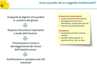 Cosa succede ad un soggetto intollerante?



                                           Una persona celiaca presenta
Incapacità di digerire ed assorbire          quadro intestinale infiammatorio
     le proteine del glutine                 danneggiamento dei tessuti
                                             dell'intestino: atrofizzazione dei villi
                                             sindrome da malassorbimento

Risposta immunitaria importante            Conseguenze
     a livello dell'intestino                incapacità di assorbire sostanze
                                             nutritive
                                             possibile ridotta capacità di
                                             assorbire farmaci per via orale
    Infiammazione cronica e
   danneggiamento dei tessuti
      dell’intestino tenue


Atrofizzazione e scomparsa dei villi
             intestinali
 