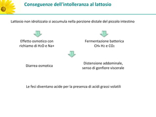 Conseguenze dell'intolleranza al lattosio


Lattosio non idrolizzato si accumula nella porzione distale del piccolo intestino




      Effetto osmotico con                       Fermentazione batterica
     richiamo di H2O e Na+                            CH4 H2 e CO2



                                                Distensione addominale,
         Diarrea osmotica
                                               senso di gonfiore viscerale



          Le feci diventano acide per la presenza di acidi grassi volatili
 