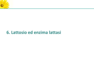 6. Lattosio ed enzima lattasi
 
