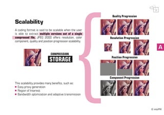 intoPIX - Everything about Jpeg2000