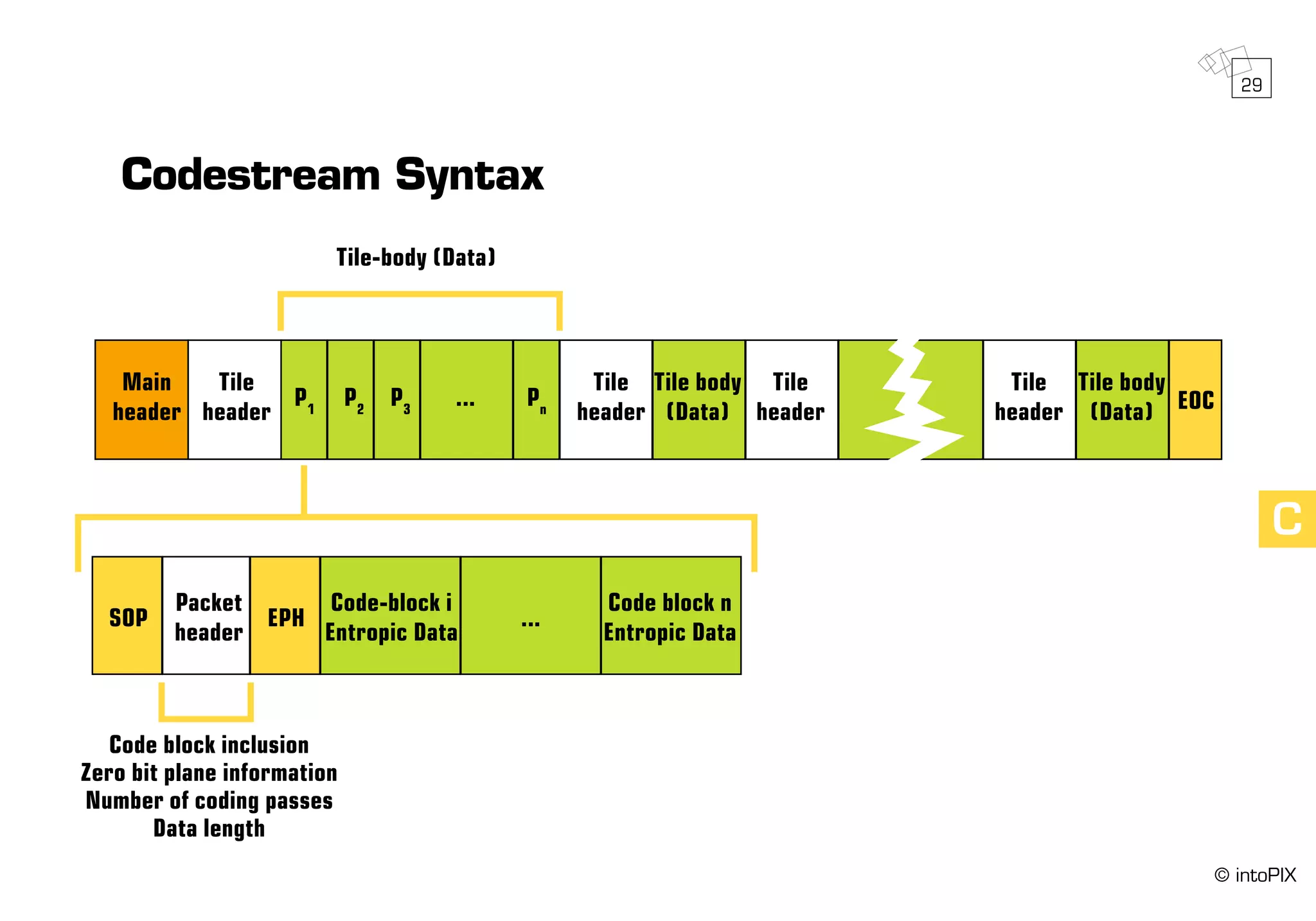 C
Codestream Syntax
	Main	 Tile	
P1	
P2	
P3	
...	Pn
	
Tile	 Tile body	 Tile		 Tile	 Tile body	
EOC	header	header						 header	(Data)	header		 header	(Data)
	SOP
	Packet	
EPH	
Code-block i	
...
	 Code block n
		 header		 Entropic Data		 Entropic Data
Tile-body (Data)
Code block inclusion
Zero bit plane information
Number of coding passes
Data length
29
© intoPIX
 
