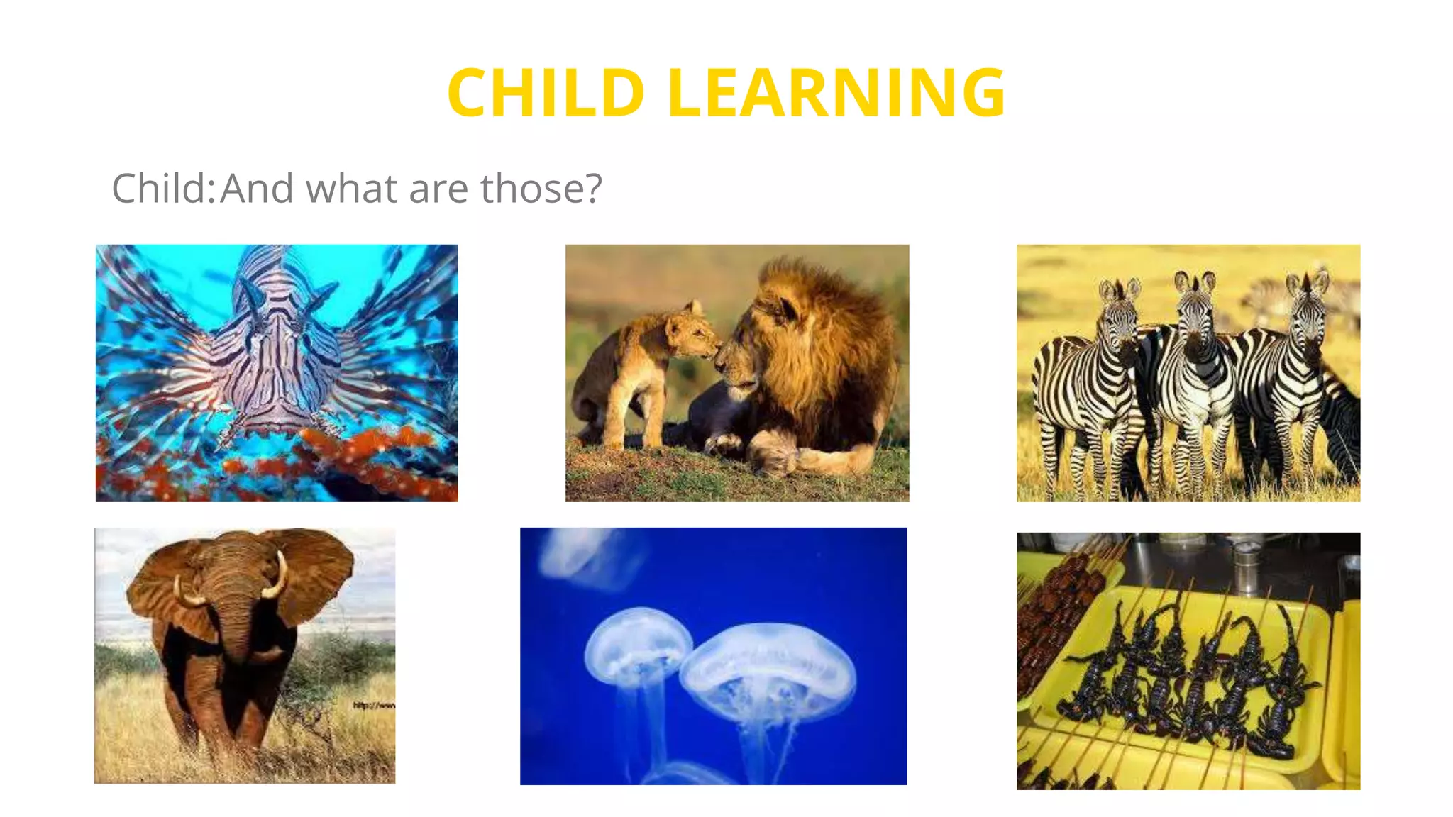 CHILD LEARNING
Child:And what are those?
 